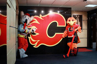 Calvin et Harvey au Saddledome de Calgary