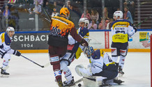 GSHC - Ambri