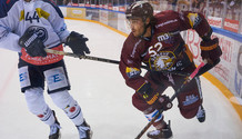 GSHC - Ambri