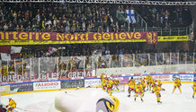 GSHC - Langnau