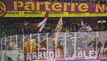 GSHC - Langnau